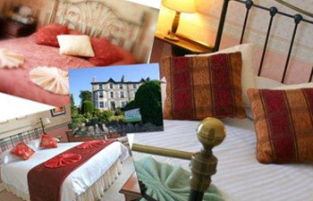 Willowfield Hotel - Collection of images around the hotel